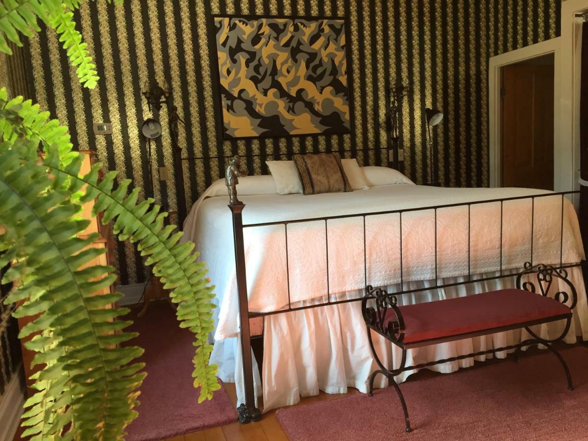 Abe'S Spring Street Guest House Galena Ngoại thất bức ảnh